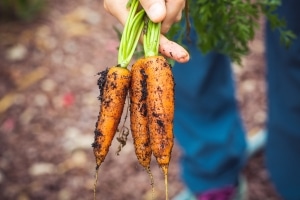 gardening, exercise